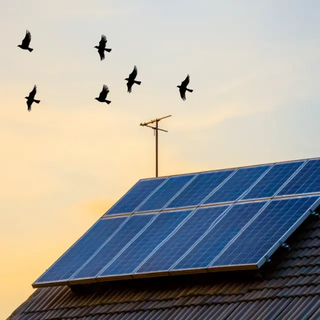 Photovoltaikanlage auf Hausdach bei Sonnenuntergang – Symbolbild für Energieausweis und Vermieterpflichten in Bayern